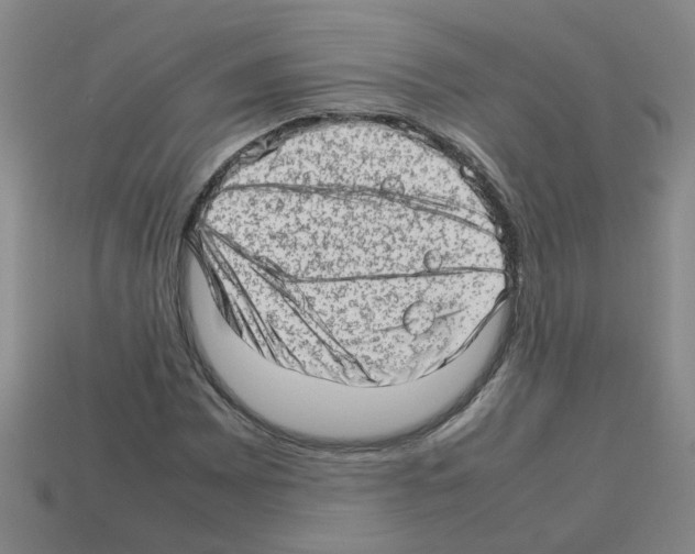 X0000112811065200910021136