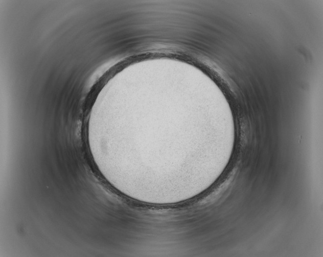X0000112811066200910021136
