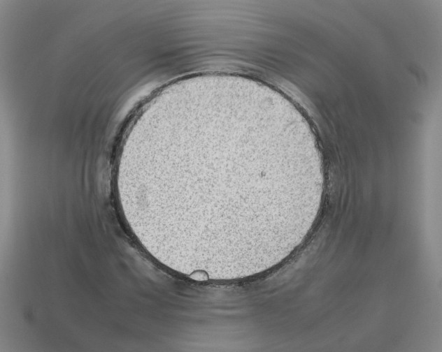 X0000112811067200910021136