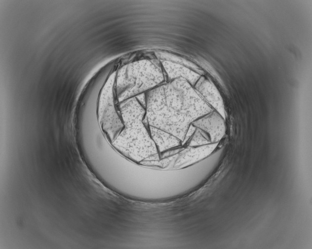 X0000112811068200910021136