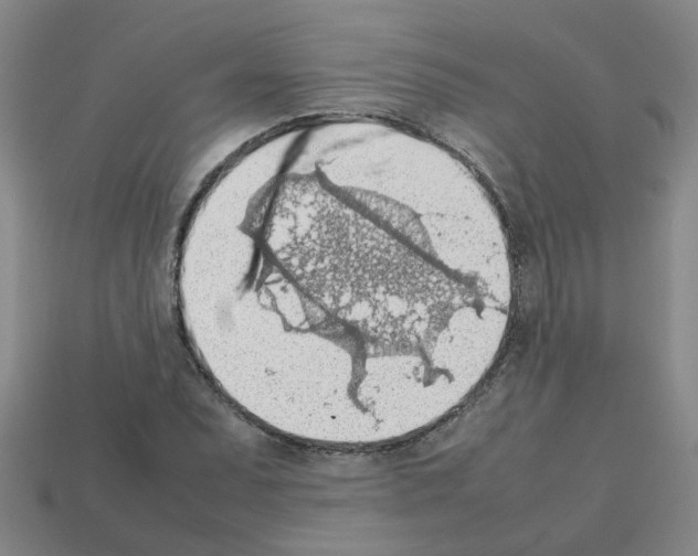 X0000112811071200910021136
