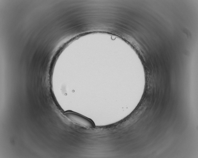 X0000112811072200910021136
