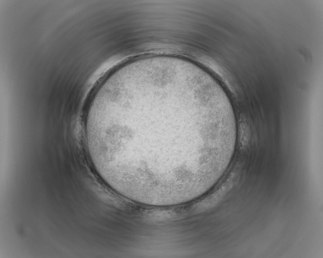 X0000112811074200910021136