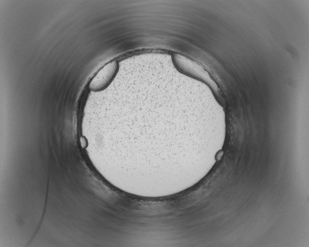 X0000112811076200910021136
