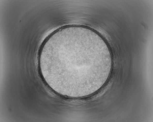 X0000112811077200910021136