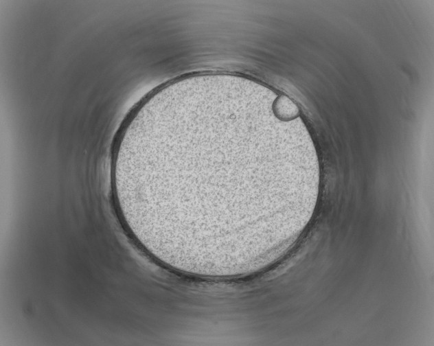 X0000112811079200910021136