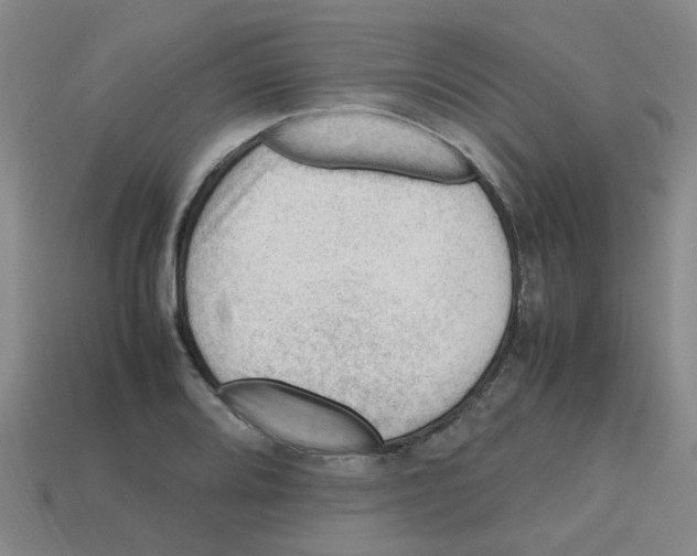 X0000112811080200910021136