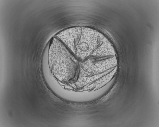 X0000112811081200910021136