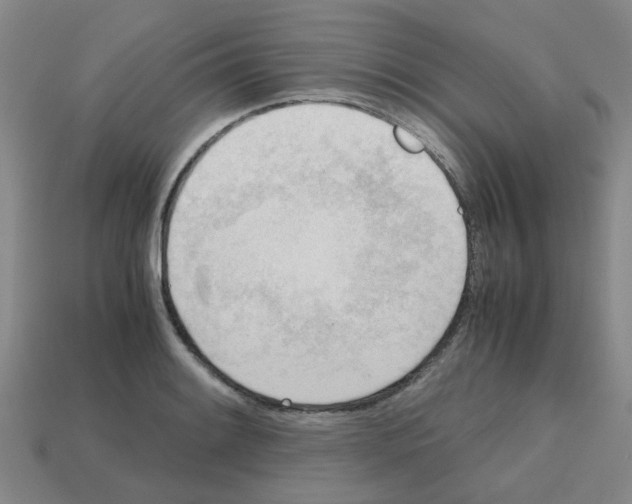 X0000112811084200910021136