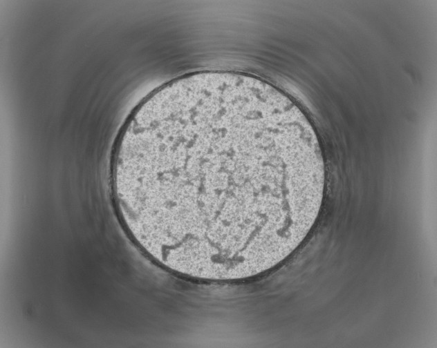 X0000112811087200910021136