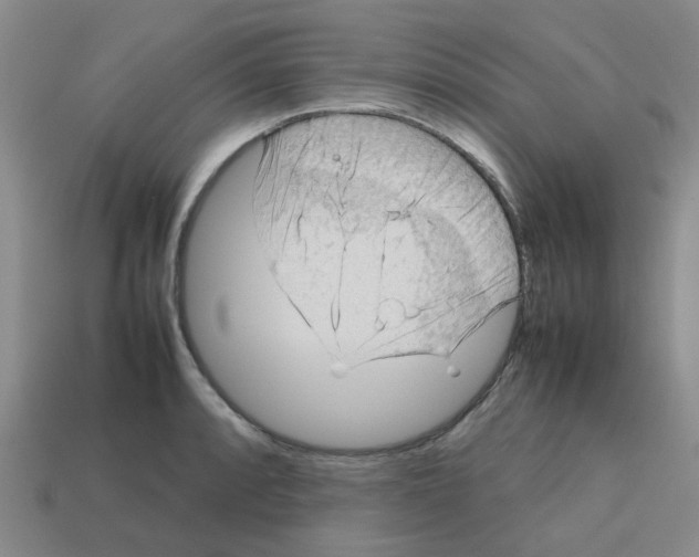 X0000112811088200910021136
