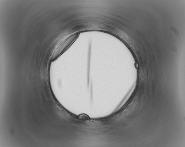 X0000112811089200910021136