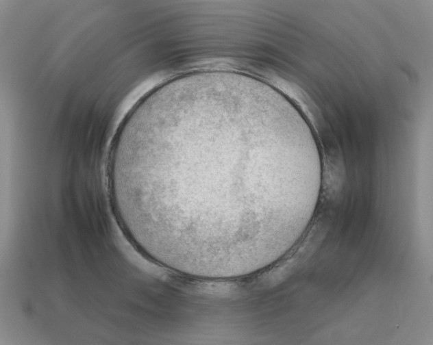 X0000112811090200910021136