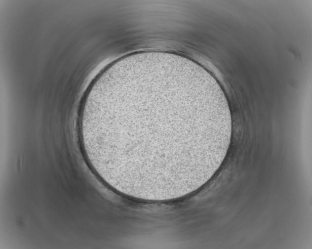 X0000112811091200910021136
