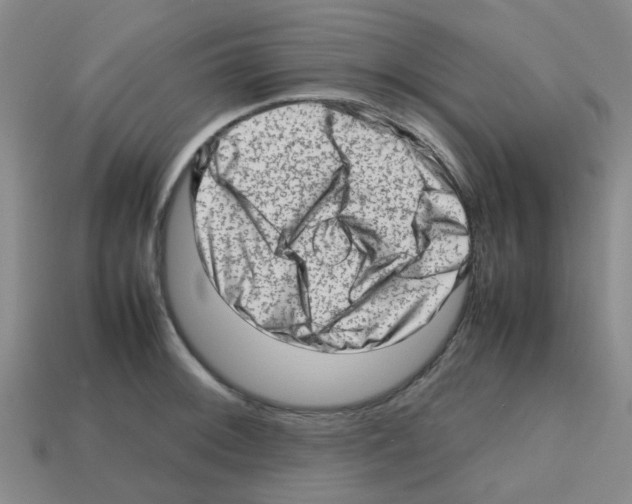 X0000112811092200910021136