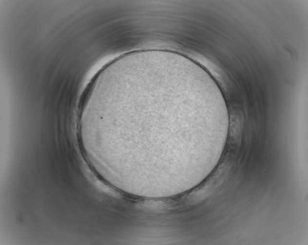 X0000112811094200910021135