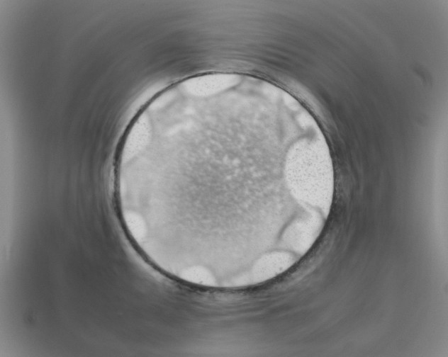 X0000112811095200910021135