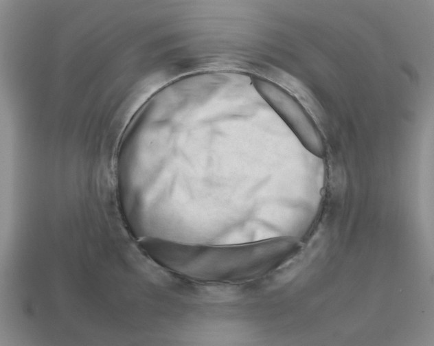 X0000112811097200910021135