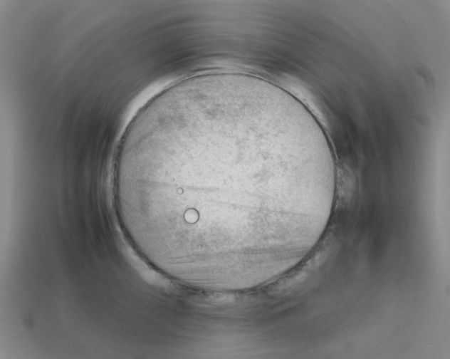 X0000112811098200910021135