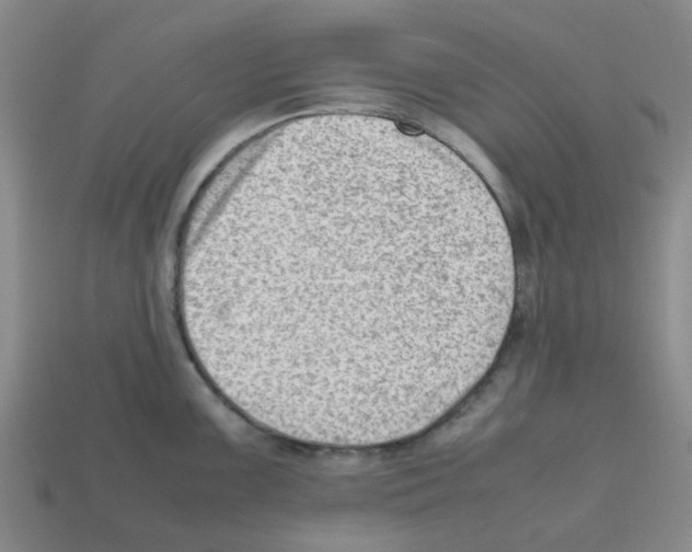 X0000112811099200910021135