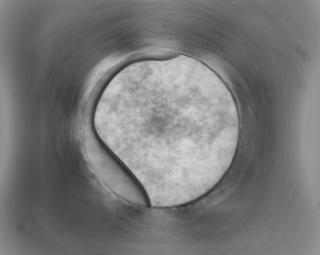 X0000112811104200910021135