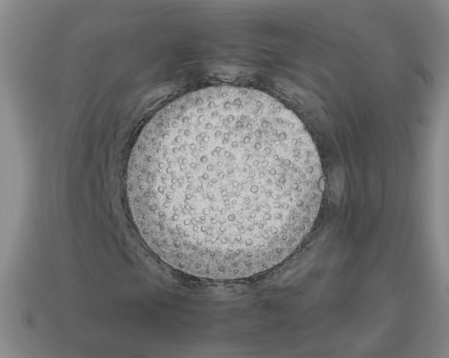 X0000112811105200910021135