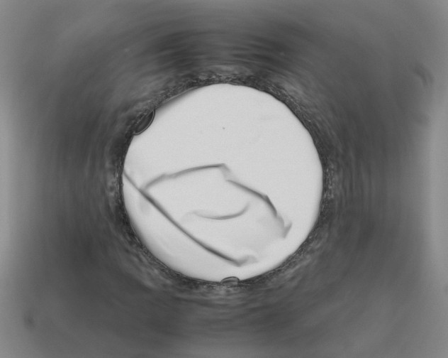 X0000112811109200910021135
