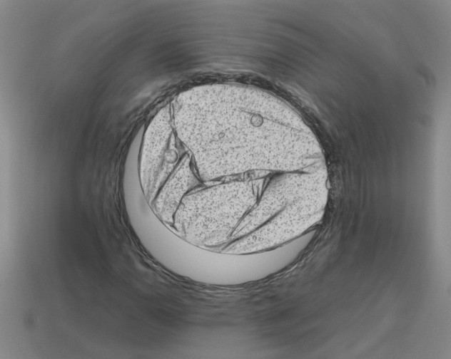 X0000112811110200910021135