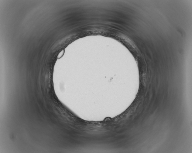X0000112811111200910021135