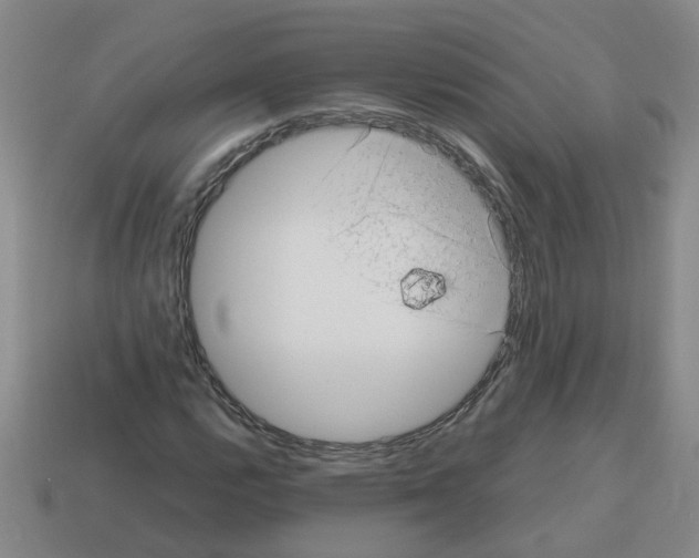 X0000112811112200910021135