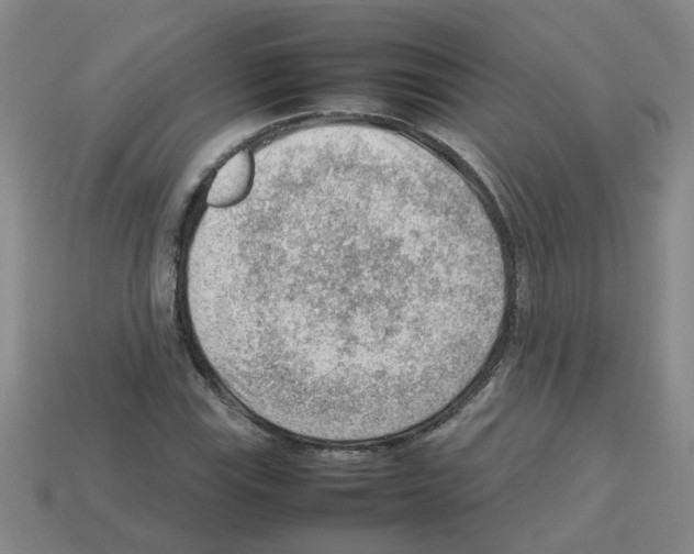 X0000112811115200910021135