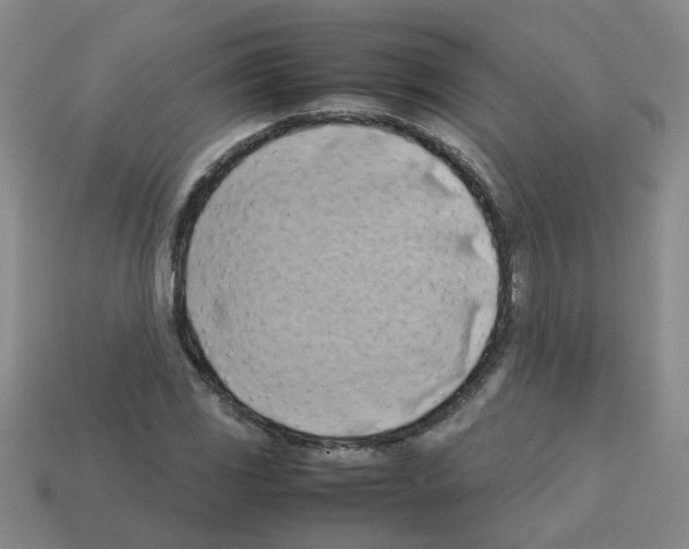 X0000112811117200910021135