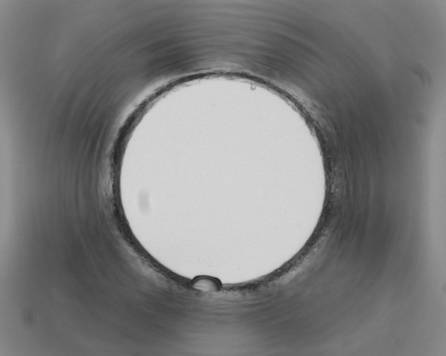 X0000112811118200910021135