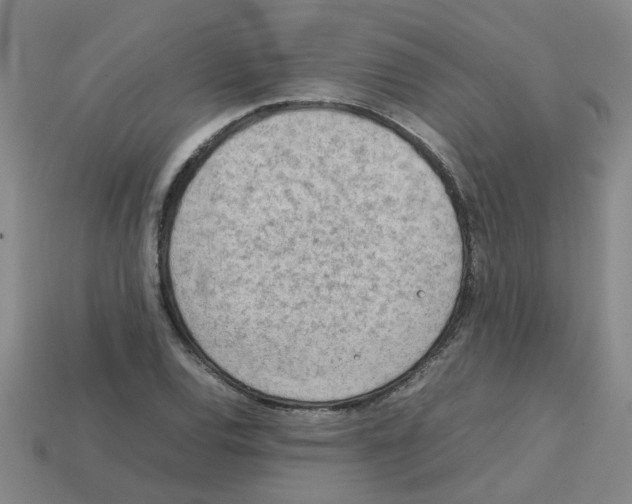 X0000112811120200910021135