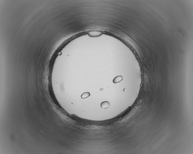 X0000112811124200910021135