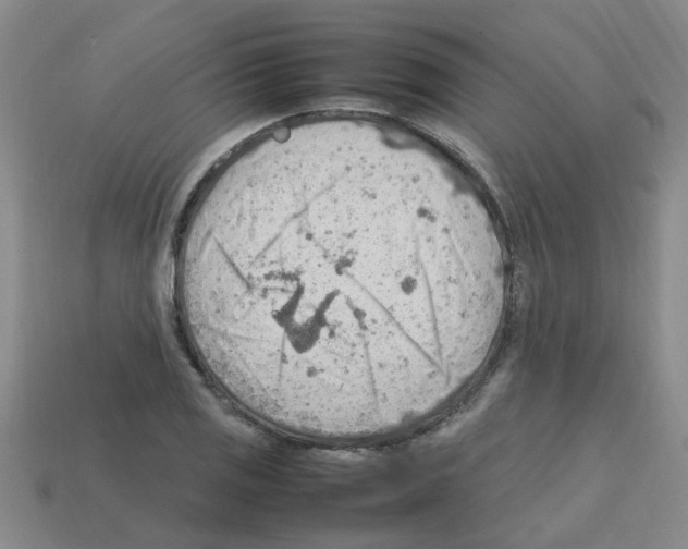 X0000112811125200910021135