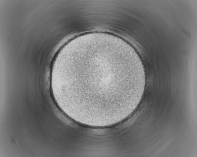 X0000112811126200910021135
