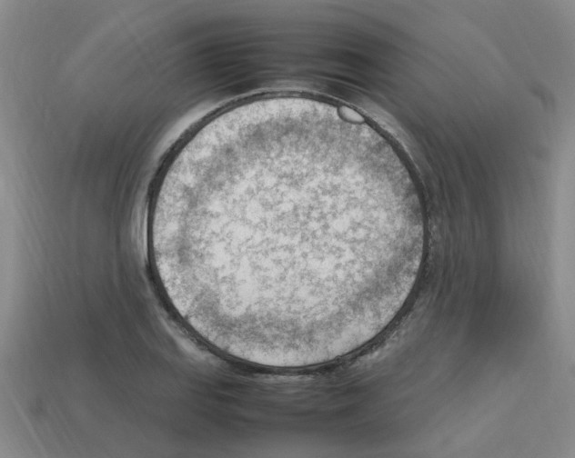X0000112811127200910021135