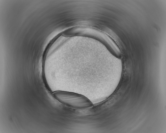 X0000112811128200910021135