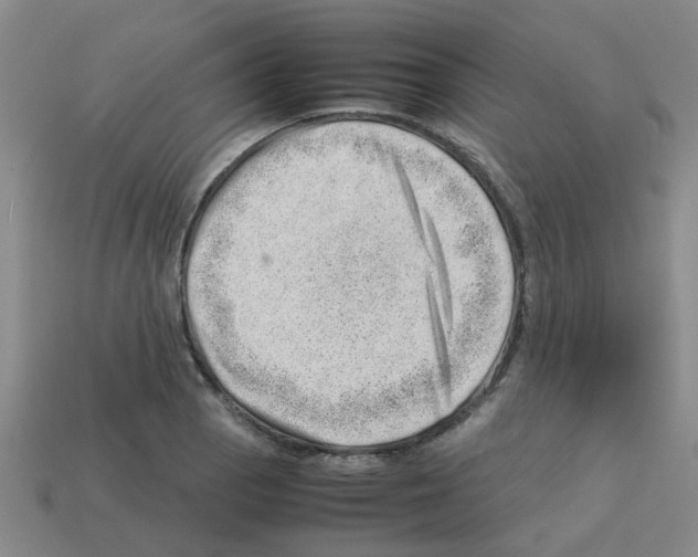X0000112811129200910021135