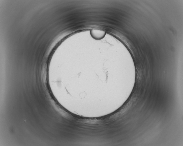 X0000112811131200910021135