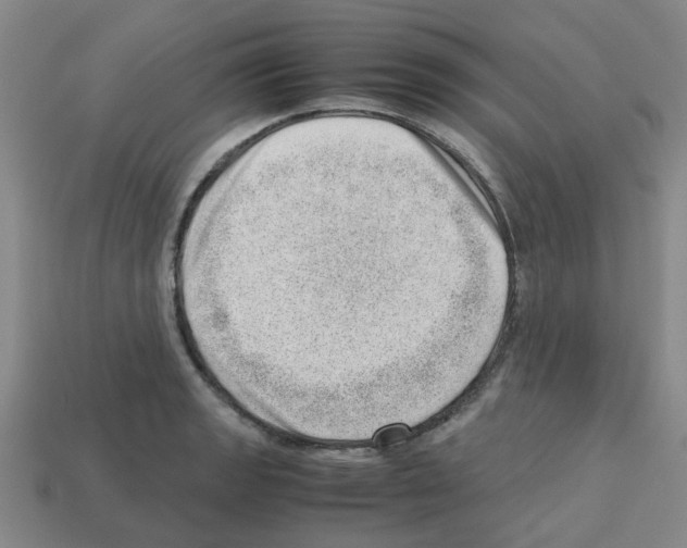 X0000112811133200910021135
