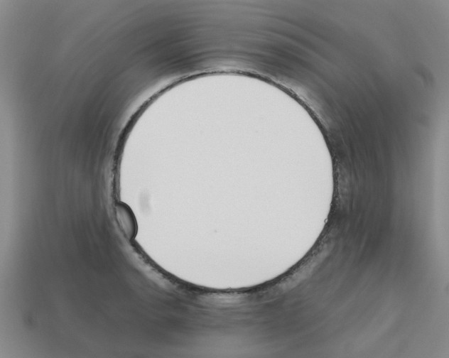 X0000112811134200910021135