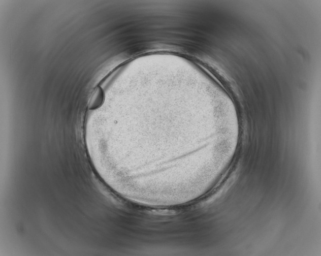 X0000112811137200910021135