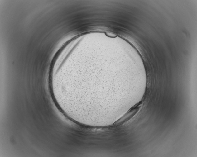 X0000112811139200910021135