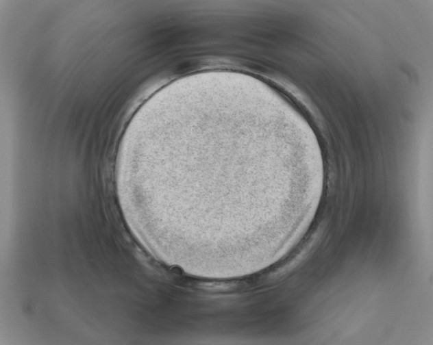 X0000112811145200910021135