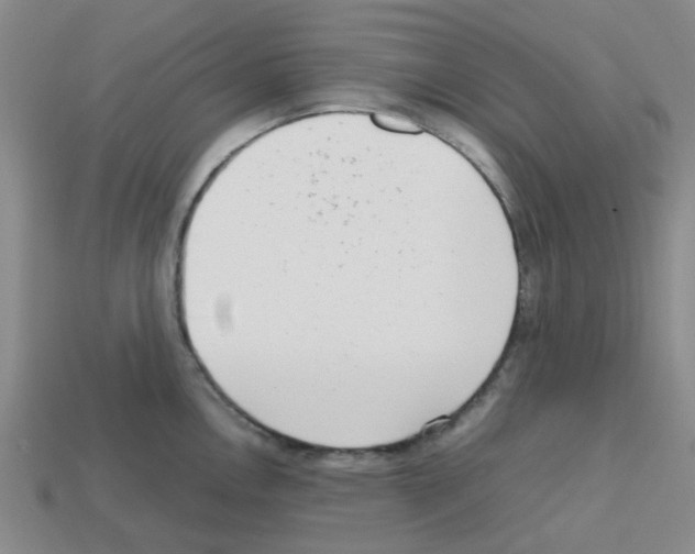 X0000112811146200910021135