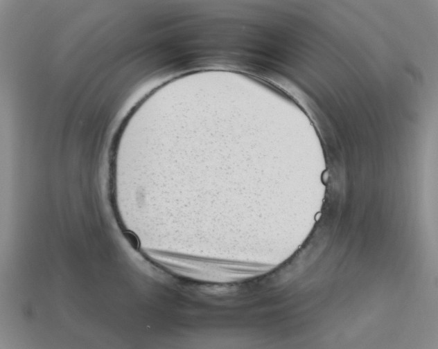 X0000112811147200910021135