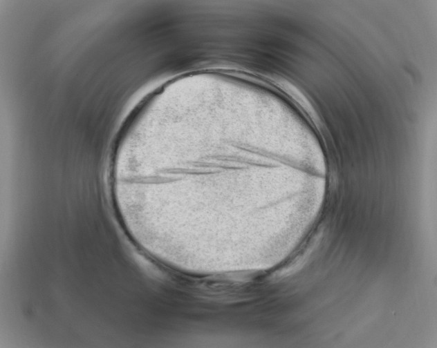 X0000112811149200910021135