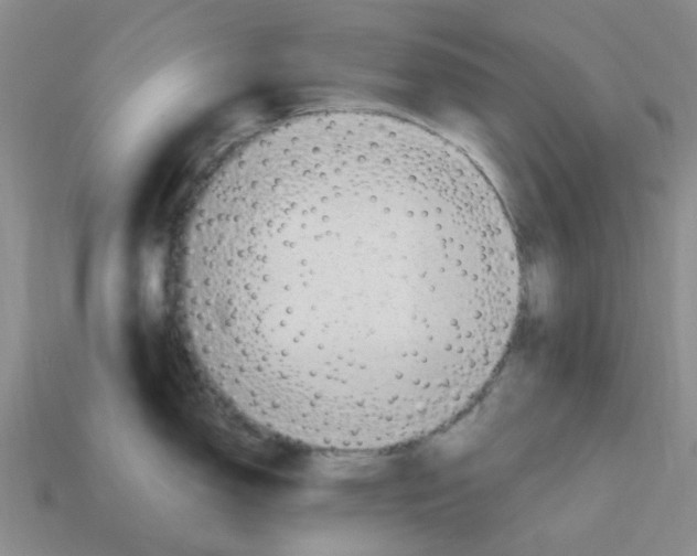 X0000112811150200910021135